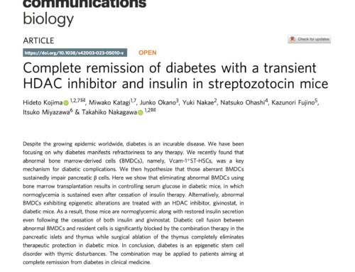 「糖尿病が完治する」という研究の論文が、科学雑誌「Communications Biology」に掲載されました