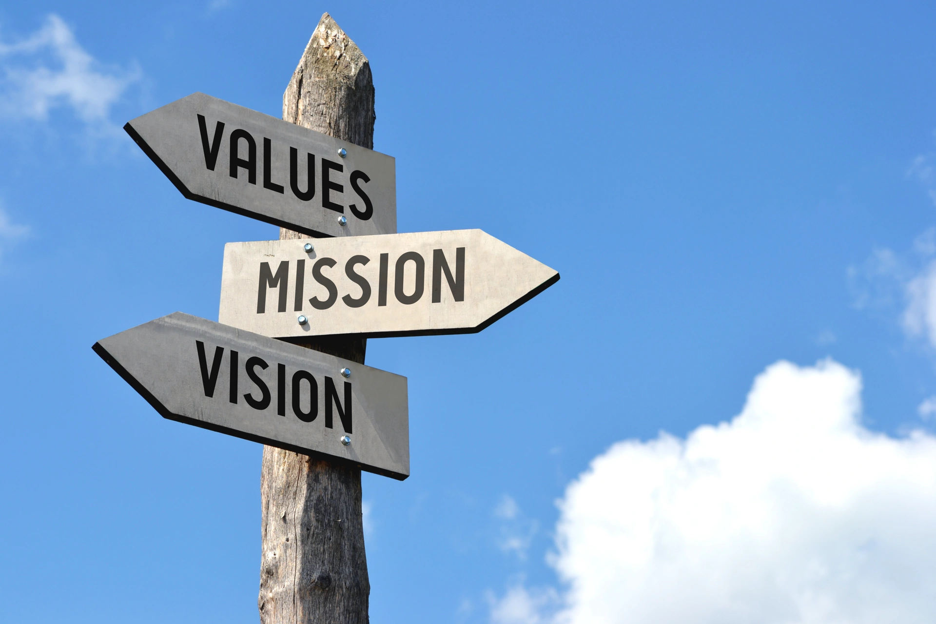 What to Build and Who It Will Serve