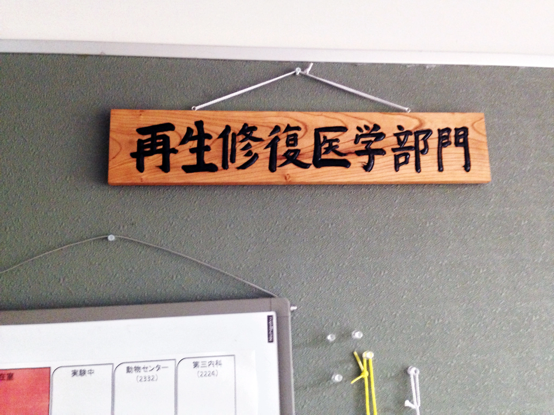 Advancing Earlier Research at Kyoto University